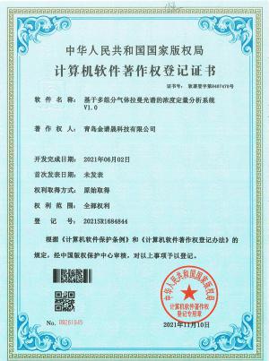 （10软著6个实用新型）-1