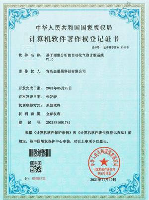 （10软著6个实用新型）-2